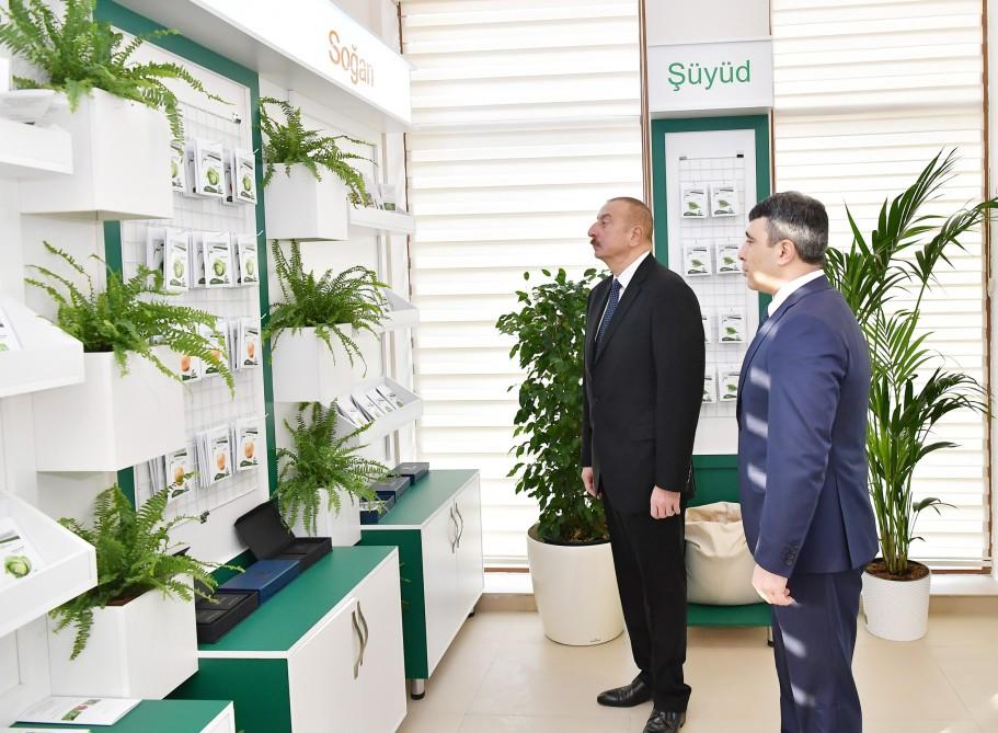 Prezident İlham Əliyev Tərəvəzçilik Elmi-Tədqiqat İnstitutunun açılışında iştirak edib (YENİLƏNİB-2) (FOTO)
