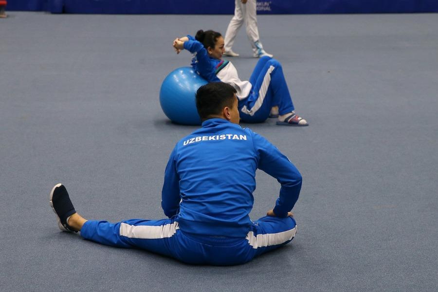 Gimnastlarımızın Dünya Kubokuna hazırlığı tam sürətlə davam edir (FOTO)