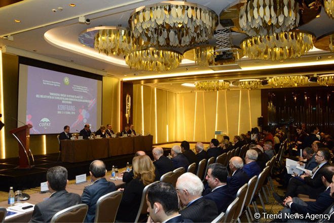 Əqli Mülkiyyət Agentliyinin bu il qarşısında duran vəzifələr açıqlanıb (FOTO)