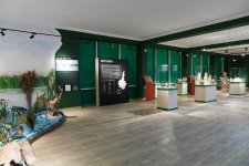 Azərbaycan Prezidenti əsaslı şəkildə yenidən qurulan Beyləqan Tarix-Diyarşünaslıq Muzeyinin açılışında iştirak edib (FOTO) (YENİLƏNİB)