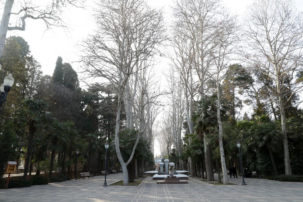 Birinci vitse-prezident Mehriban Əliyeva “Xan bağı” mədəniyyət və istirahət parkında gəncəlilərlə görüşüb (FOTO) (YENİLƏNİB)