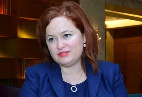 İcraçı direktor: Azərbaycan qazının Bolqarıstana tranziti layihəsi üzrə işlərin təkrar təşkili həyata keçirilir