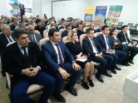 Lənkəranda sitrus bağçılıq təsərrüfatları yaradılır (FOTO)
