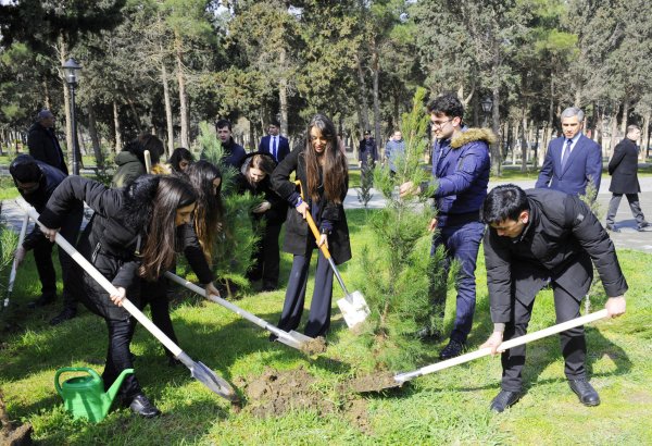 Heydər Əliyev Fondunun vitse-prezidenti Leyla Əliyeva “Xocalıya ədalət!” kampaniyası çərçivəsində ağacəkmə aksiyasında iştirak edib (FOTO)