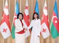 Azərbaycanın Birinci vitse-prezidenti Mehriban Əliyeva Gürcüstan Prezidenti Salome Zurabişvili ilə görüşüb (FOTO)