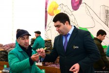 Paytaxtda Novruz yarmarkaları - FOTOREPORTAJ