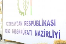 Paytaxtda Novruz yarmarkaları - FOTOREPORTAJ