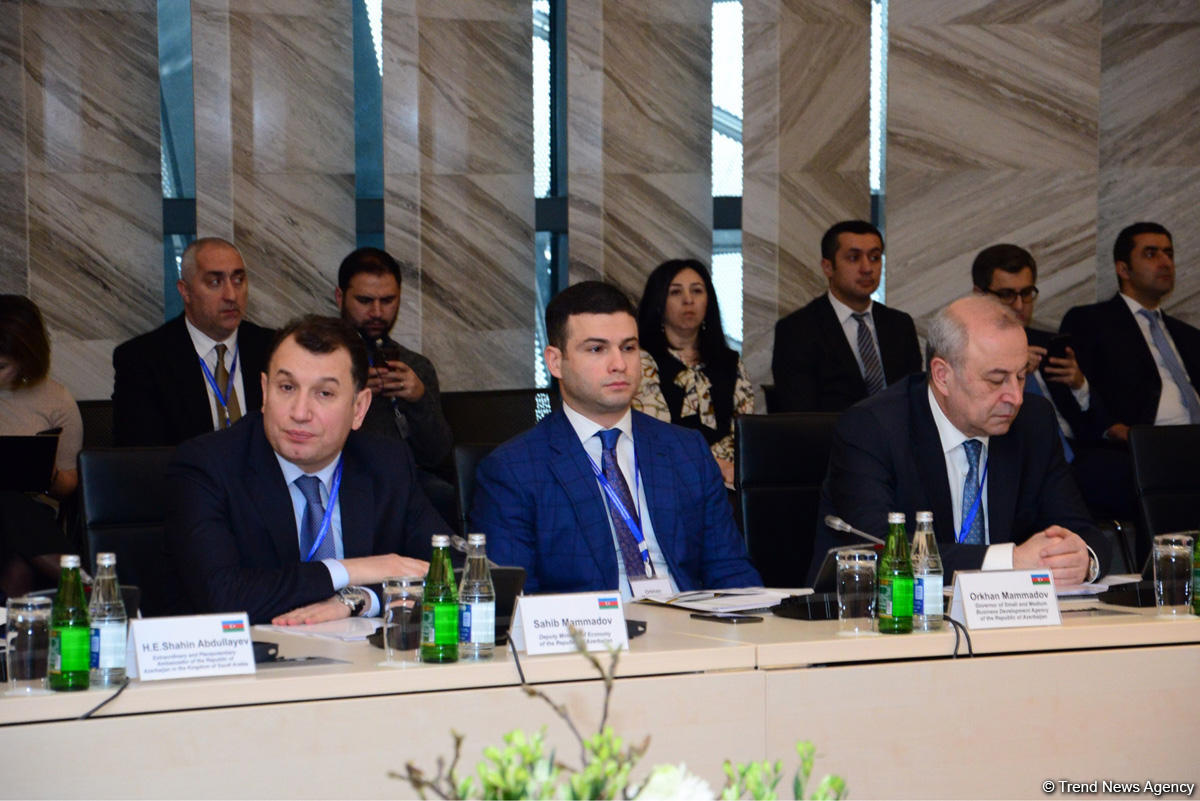 Samir Şərifov: Azərbaycan və Səudiyyə Ərəbistanı hava əlaqəsinin genişlənməsində maraqlıdır (FOTO)