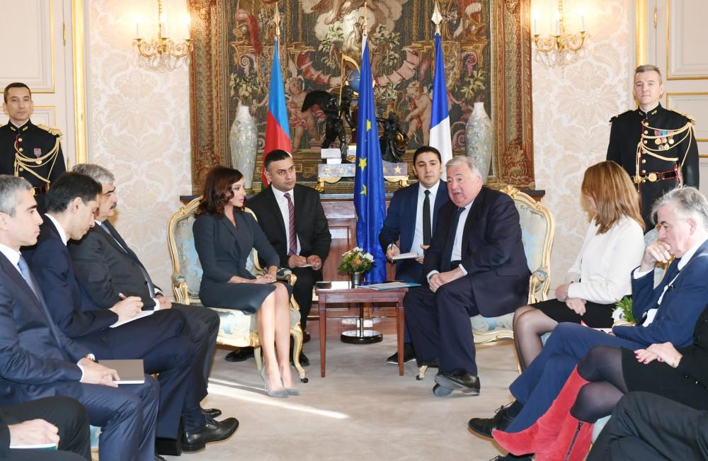 Birinci vitse-prezident Mehriban Əliyevanın Fransa səfəri: Müasir diplomatiyamızda yeni səhifə (FOTO)