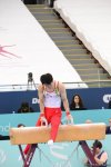 Milli Gimnastika Arenasında idman gimnastikası üzrə Dünya Kubokunun final yarışları (FOTO)
