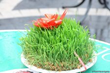 Bayram ab-havalı Bakı (FOTOSESSİYA)