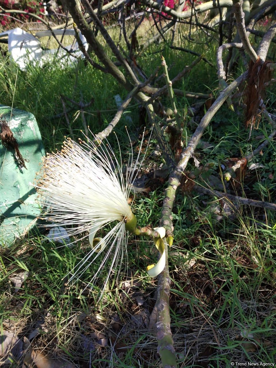 Burada əlini uzatsan, sanki buludlara dəyər... – HARADIR? (FOTO)