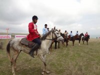 10 milyonuncu sakinin dünyaya gəlməsi şərəfinə Şəkidə at yürüşü təşkil edilib (FOTO)