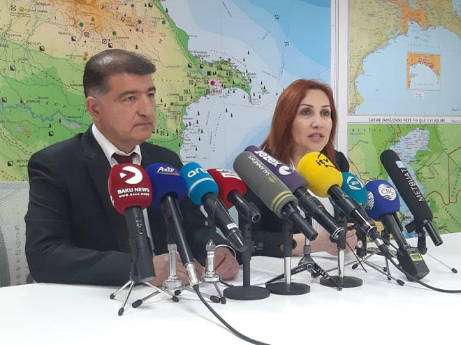 Firdovsi Əliyev: Sahibkarlar meşə fondunun açıq sahələrini icarəyə götürə bilər