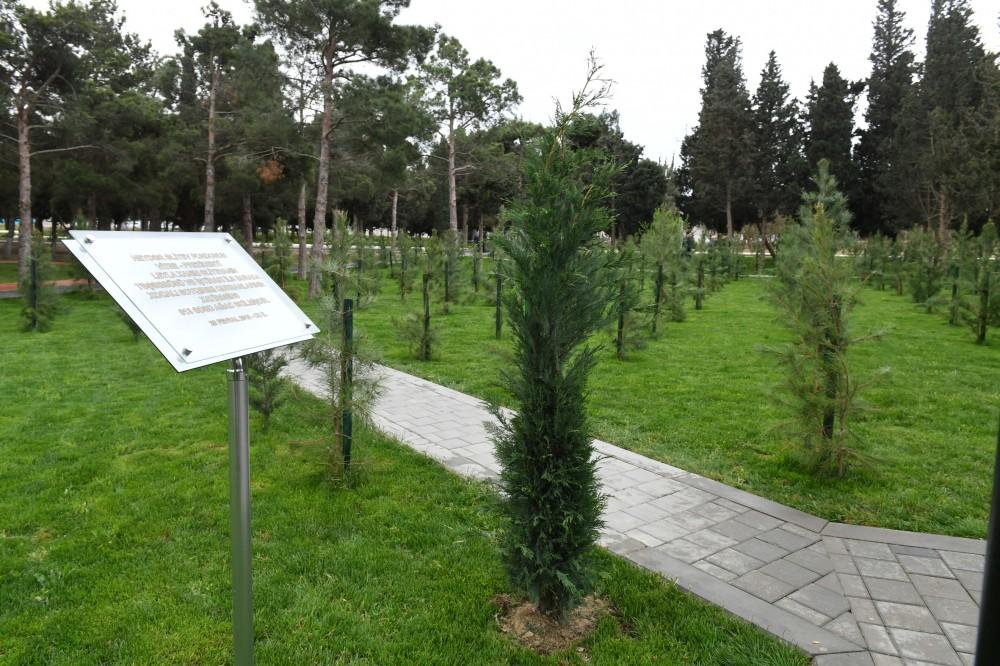 Prezident İlham Əliyev və birinci xanım Mehriban Əliyeva Qaraçuxurda yenidən qurulan Neftçilər parkında yaradılan şəraitlə tanış olublar (YENİLƏNİB 2) (FOTO)