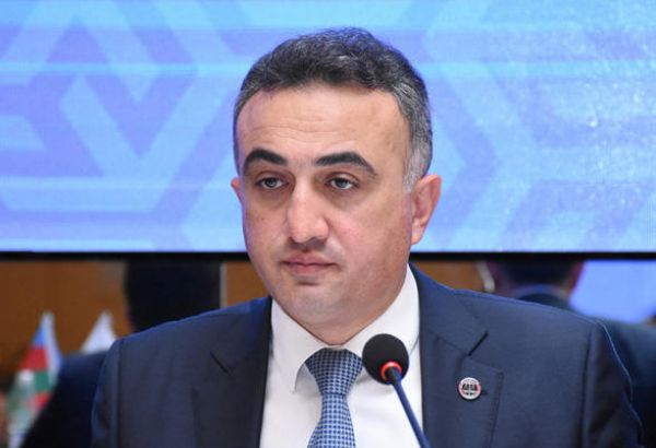 Vəkillərin sorğusuna elektron cavab verilməməsi çətinliklər törədir - Anar Bağırov