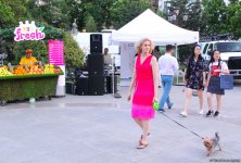 "Baku Food Fest"in yubiley sezonu açılıb (FOTO)