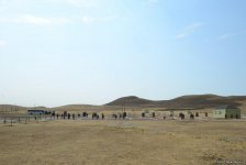 Müdafiə naziri yeni təlim mərkəzinin açılışında iştirak edib (FOTO)