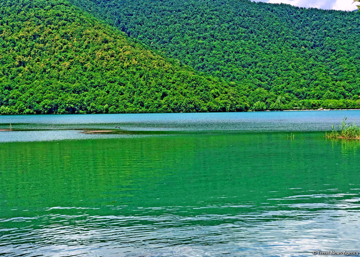 İstirahətə bura gedin - Dağlar arasında Nohur gölü (FOTO)