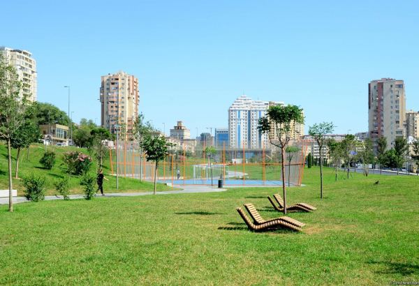 Bakıda parklarda qazonun mühafizəsi ilə bağlı təlimat lövhələri quraşdırılıb