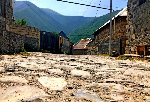 İyundan başlayaq turizm sektorunda canlanma gözlənilir - Şirkət rəhbəri