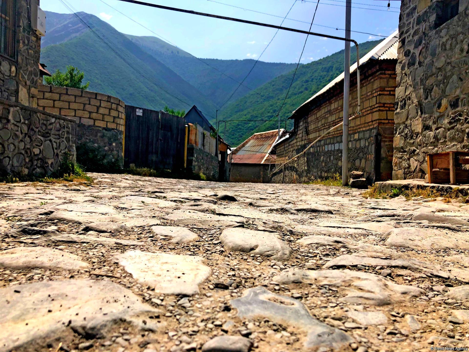 İyundan başlayaq turizm sektorunda canlanma gözlənilir - Şirkət rəhbəri