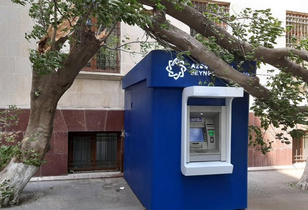 Bakıda güclü külək ağacı bankomatın üzərinə aşırdı (FOTO)