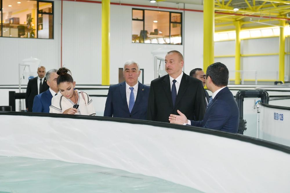 Prezident İlham Əliyev və birinci xanım Mehriban Əliyeva Pirallahıda “NərəMİZ” balıqyetişdirmə zavodunun istehsalat prosesi ilə tanış olublar (FOTO) (YENİLƏNİB)