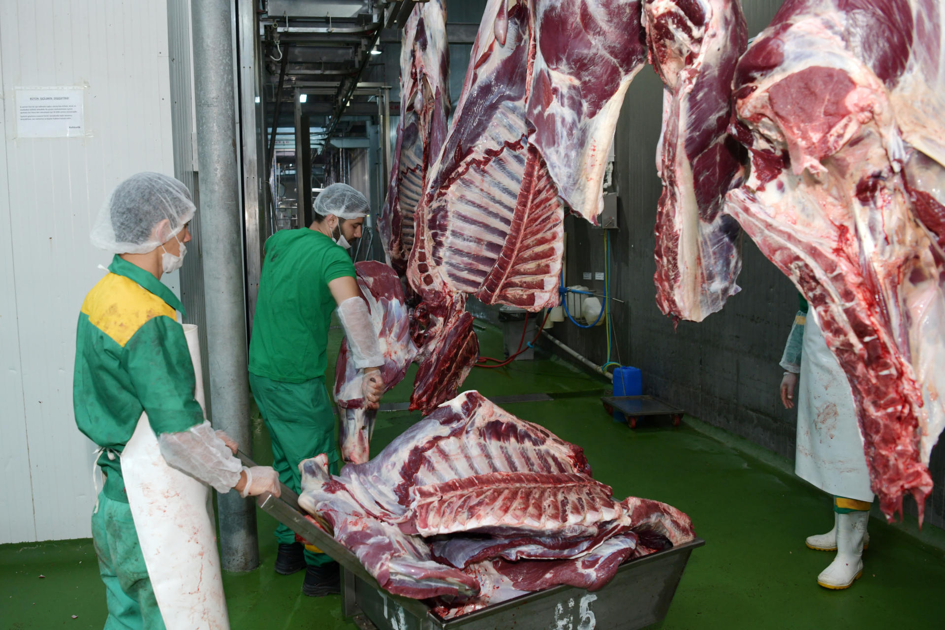 Heydər Əliyev Fondu aztəminatlı ailələrə qurban payları çatdırır (FOTO)