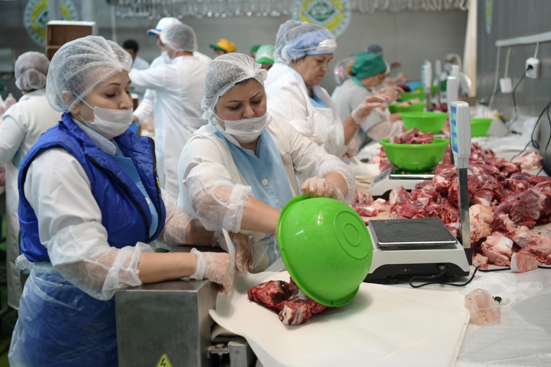 Heydər Əliyev Fondu aztəminatlı ailələrə qurban payları çatdırır (FOTO)