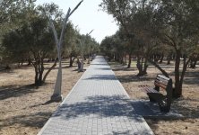 Birinci vitse-prezident Mehriban Əliyeva Kürdəxanıda yeni yaradılan istirahət parkı ilə tanış olub (FOTO) (YENİLƏNİB)