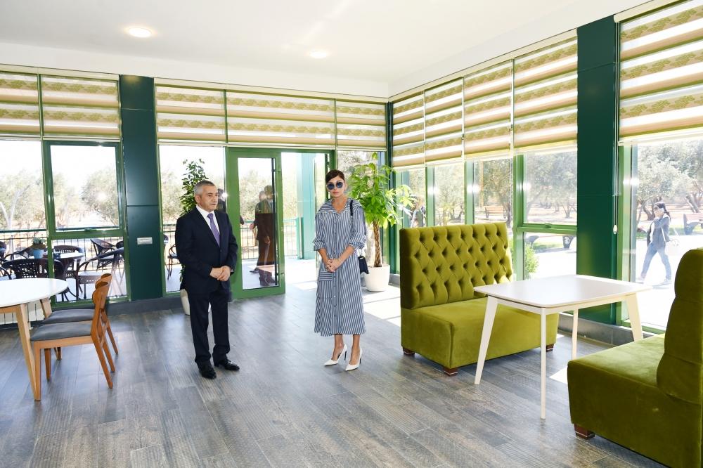 Birinci vitse-prezident Mehriban Əliyeva Kürdəxanıda yeni yaradılan istirahət parkı ilə tanış olub (FOTO) (YENİLƏNİB)