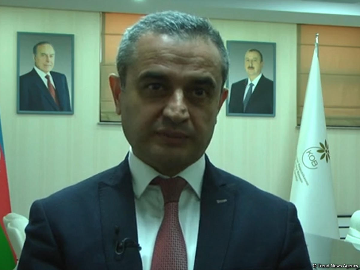 Faiq Abbasov: Kiçik və orta biznes sektorunda müsbət dəyişikliklər müşahidə edilməkdədir (VİDEO)