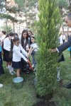 Heydər Əliyev Fondunun vitse-prezidenti Leyla Əliyeva "Bizim həyət" layihəsi çərçivəsində abadlaşdırılan növbəti həyətin açılışında iştirak edib  (FOTO)
