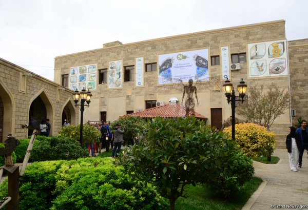 “Qala” Dövlət Tarix-Etnoqrafiya Qoruğunda “Tullantıdan sənətə” sərgisinin açılışı olub (FOTO)