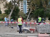 Bakıda 7 kilometrlik velosiped yolunun yaradılması üzrə işlər başlayıb (FOTO)