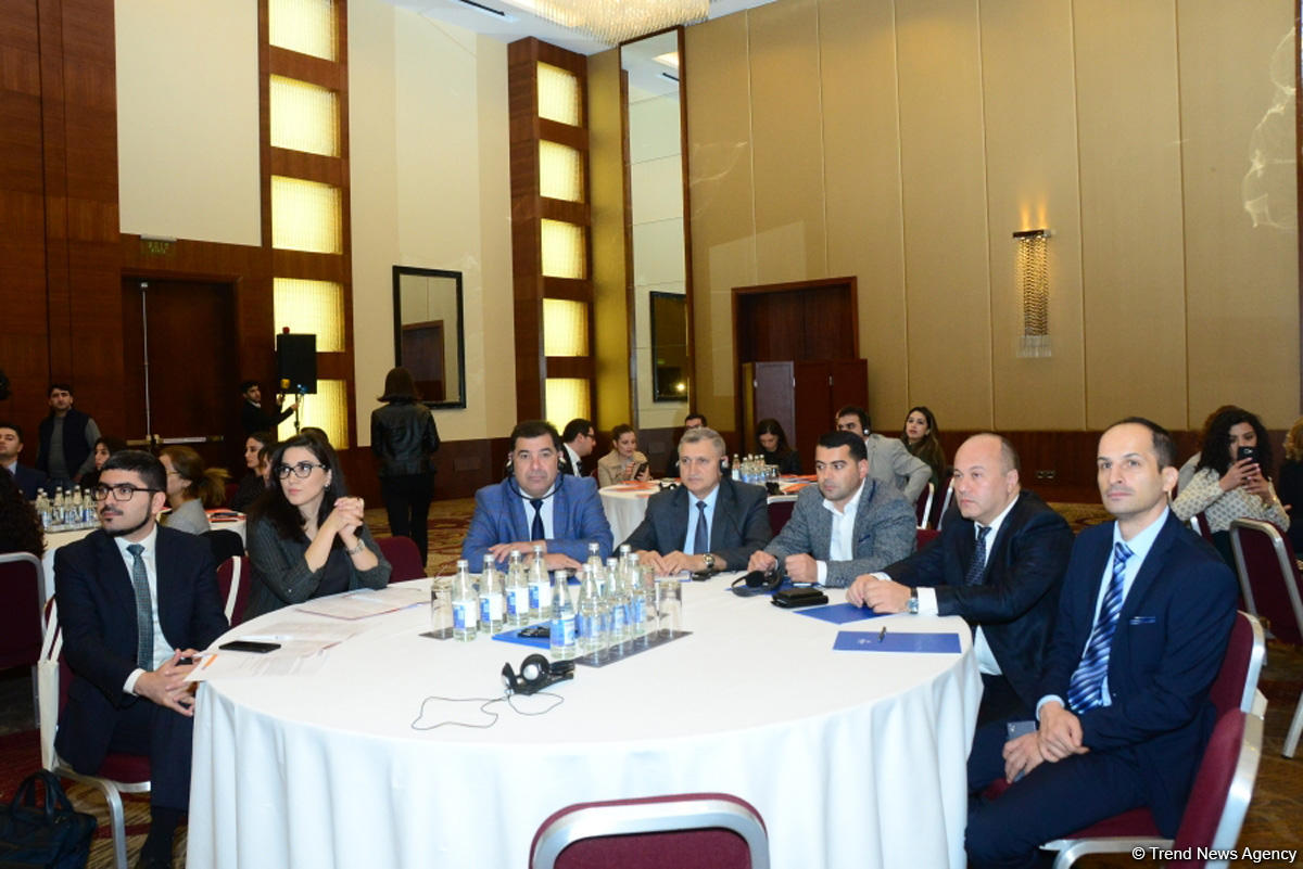 Baronessa Emma Nikolson: Böyük Britaniya hər zaman Azərbaycana dəstək göstərib (FOTO)