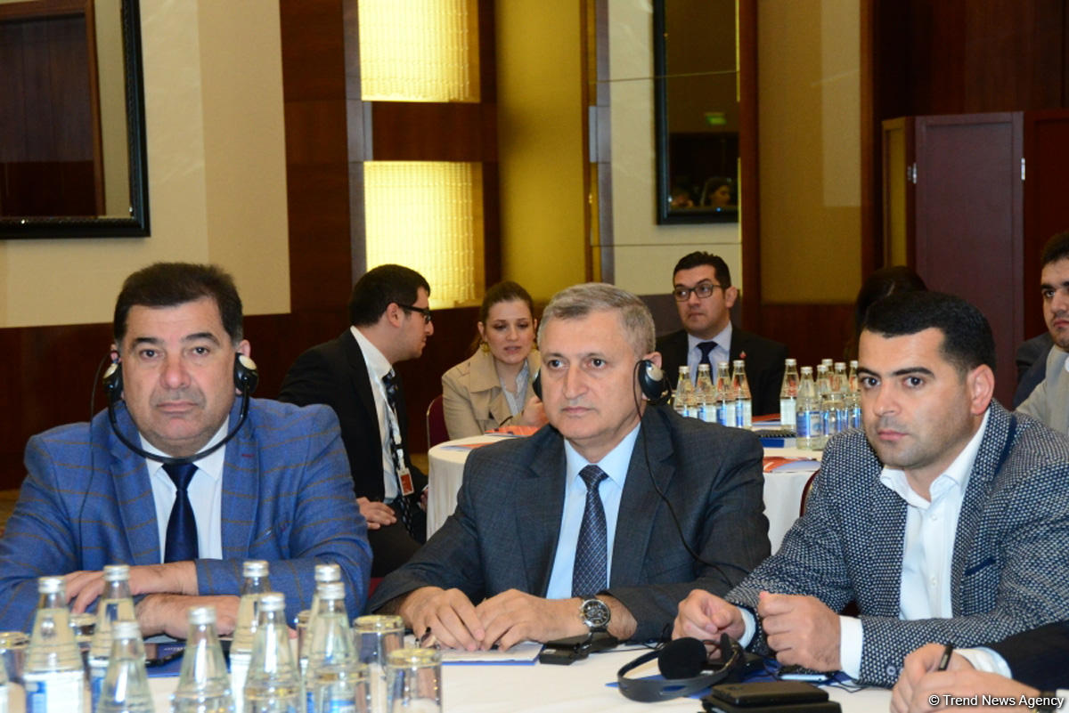 Baronessa Emma Nikolson: Böyük Britaniya hər zaman Azərbaycana dəstək göstərib (FOTO)