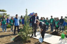 Prezident İlham Əliyev və birinci xanım Mehriban Əliyeva Bakının Xətai rayonunda ağacəkmə aksiyasında iştirak ediblər (FOTO) (YENİLƏNİB-2)