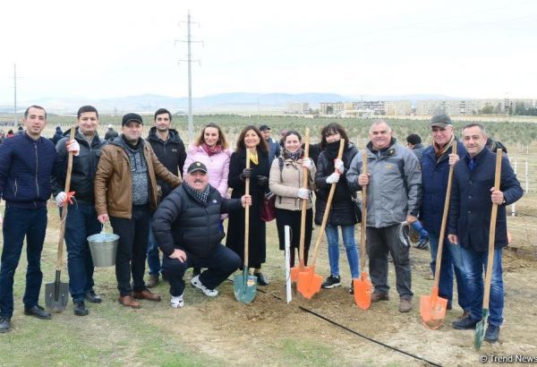 “Trend.az”, “Day.az”, “Milli.az” və “Azernews.az” əməkdaşları 650 min ağacın əkilməsi üzrə aksiyada iştirak edib (FOTO/VİDEO) (YENİLƏNİB)