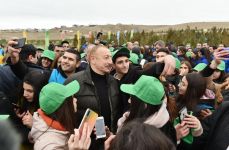 Prezident İlham Əliyev və birinci xanım Mehriban Əliyeva Şamaxı rayonunda ağacəkmə aksiyasında iştirak ediblər (FOTO) (YENİLƏNİB 2)