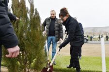 Prezident İlham Əliyev və birinci xanım Mehriban Əliyeva Şamaxı rayonunda ağacəkmə aksiyasında iştirak ediblər (FOTO) (YENİLƏNİB 2)