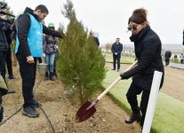 Prezident İlham Əliyev və birinci xanım Mehriban Əliyeva Şamaxı rayonunda ağacəkmə aksiyasında iştirak ediblər (FOTO) (YENİLƏNİB 2)