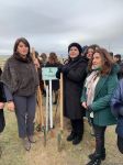 Birlik sədri: 650 min ağacın əkilməsi yaşıllıqların sahəsinin əhəmiyyətli dərəcədə artmasına səbəb olacaq (FOTO)