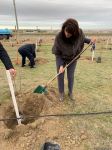 Birlik sədri: 650 min ağacın əkilməsi yaşıllıqların sahəsinin əhəmiyyətli dərəcədə artmasına səbəb olacaq (FOTO)
