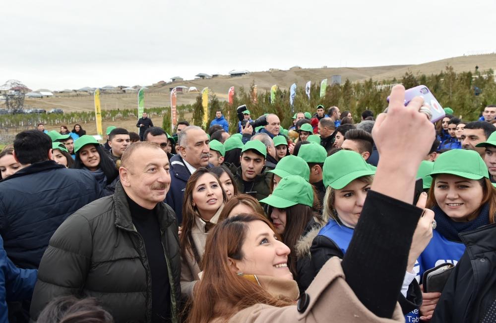 Prezident İlham Əliyev və birinci xanım Mehriban Əliyeva Şamaxı rayonunda ağacəkmə aksiyasında iştirak ediblər (FOTO) (YENİLƏNİB 2)