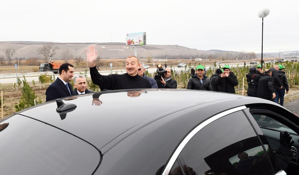 Prezident İlham Əliyev və birinci xanım Mehriban Əliyeva Şamaxı rayonunda ağacəkmə aksiyasında iştirak ediblər (FOTO) (YENİLƏNİB 2)