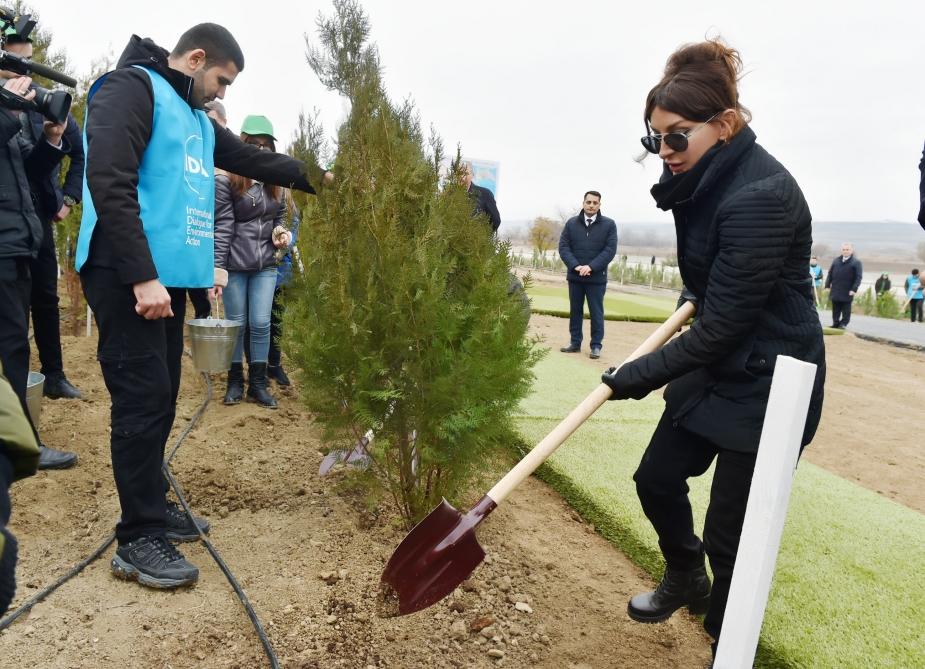 Prezident İlham Əliyev və birinci xanım Mehriban Əliyeva Şamaxı rayonunda ağacəkmə aksiyasında iştirak ediblər (FOTO) (YENİLƏNİB 2)