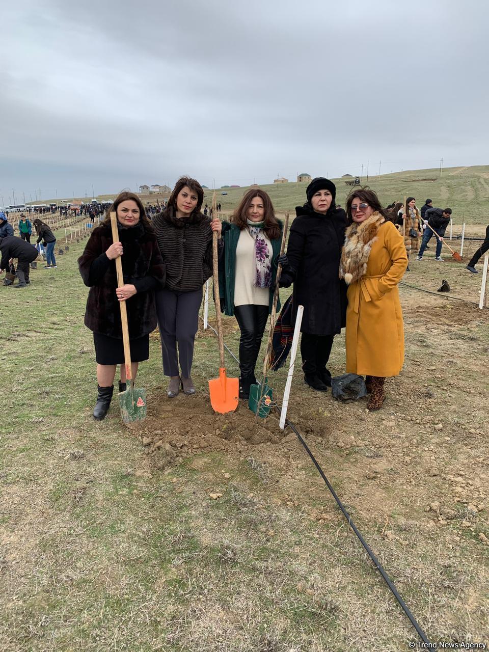Birlik sədri: 650 min ağacın əkilməsi yaşıllıqların sahəsinin əhəmiyyətli dərəcədə artmasına səbəb olacaq (FOTO)