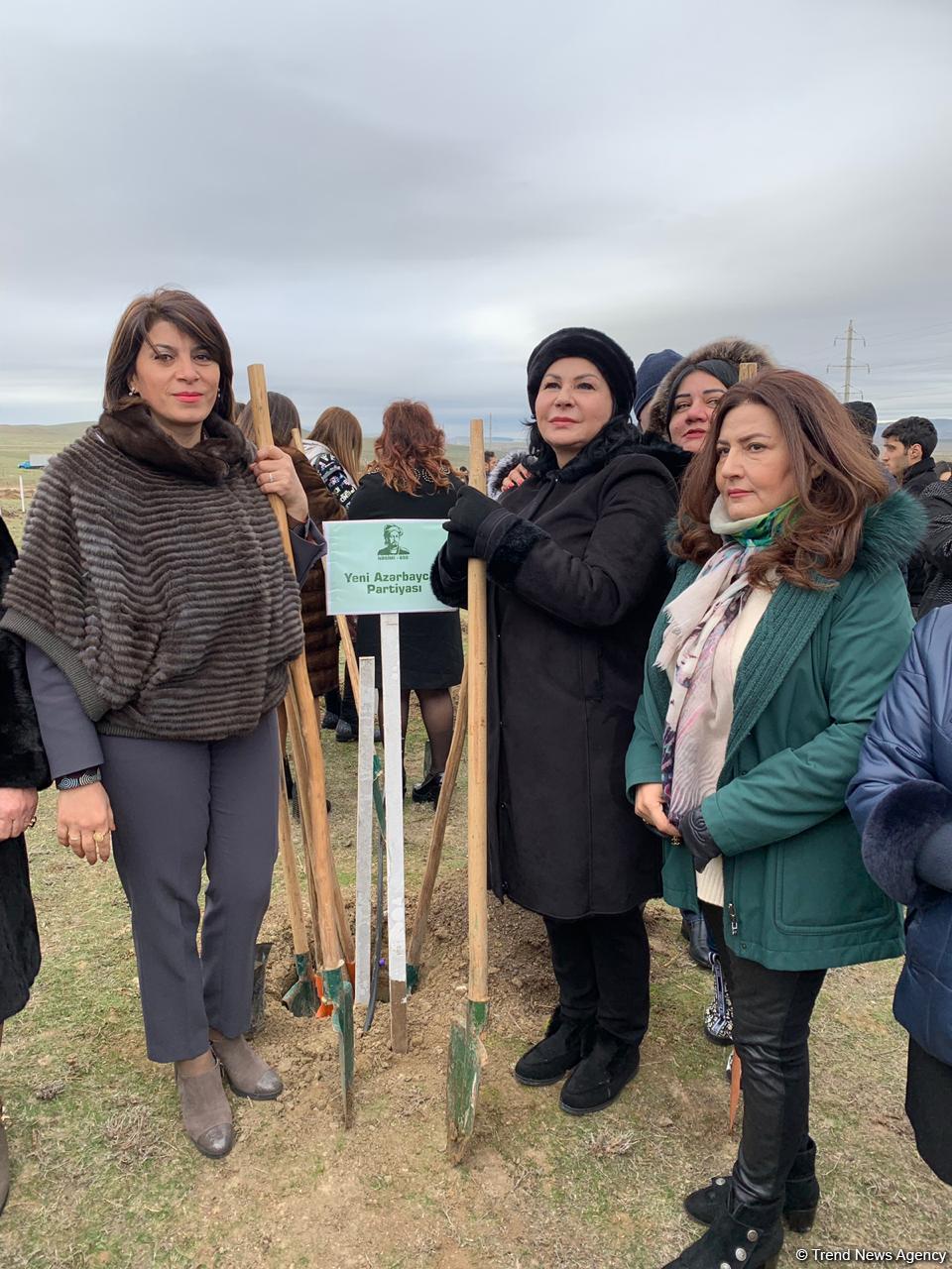 Birlik sədri: 650 min ağacın əkilməsi yaşıllıqların sahəsinin əhəmiyyətli dərəcədə artmasına səbəb olacaq (FOTO)